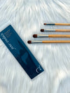 Professional Precision Brush Set 4 Essential Eye Brushes
