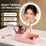 Smart LED Makeup Mirror with Storage Organizer 3 Color Lights
