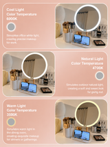 LED Vanity Makeup Mirror with Storage Organizer & Phone Holder Touch Control Desktop Mirror