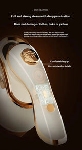 2-in-1 Handheld Steam & Dry Iron