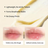 Pack Of 3 Moisturizing Lip Balm Avocado, Strawberry & Botanical Hydrating Lip Care